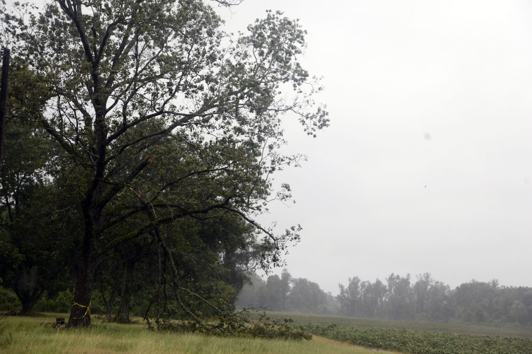 Hurricane Dorian in the Pee Dee
